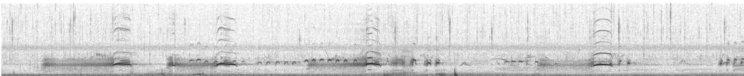 Eurasian Whimbrel - ML645882991