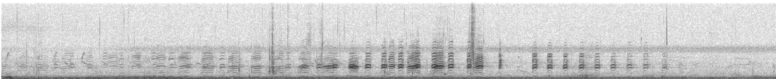 White-bellied Sea-Eagle - ML645882992