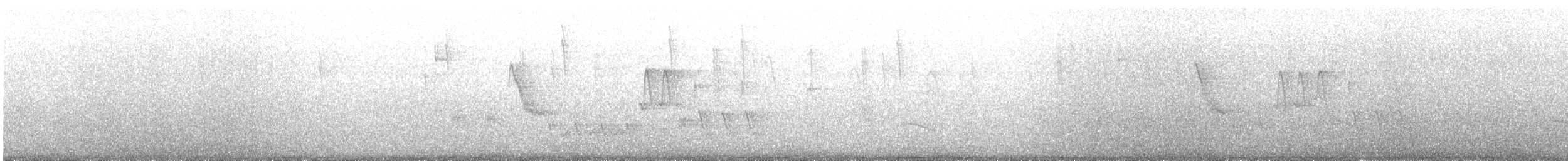 Southern House Wren - ML645883114