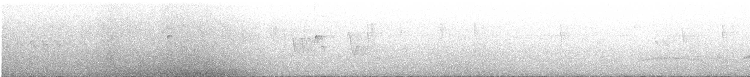 Yellow-bellied Elaenia - ML645883413