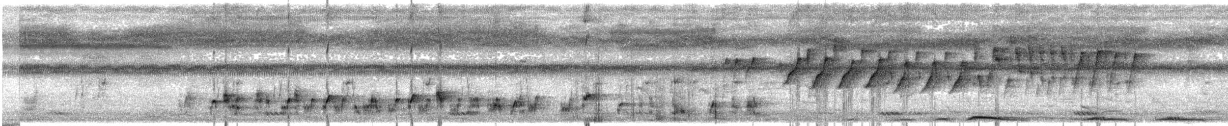 Ak Kaşlı Arapbülbülü - ML645883586