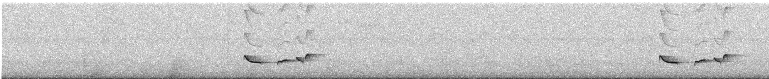 Greenish Schiffornis - ML645883765