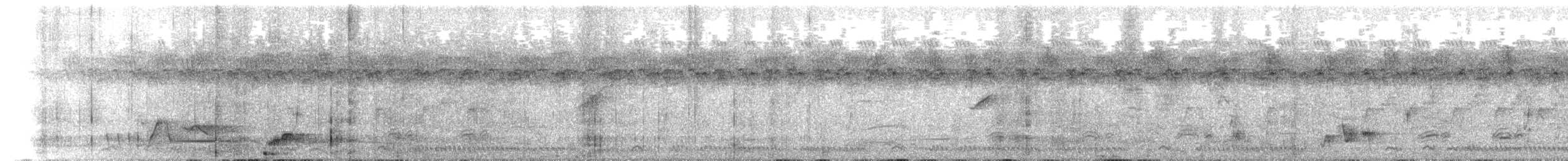 African Pitta - ML645883930