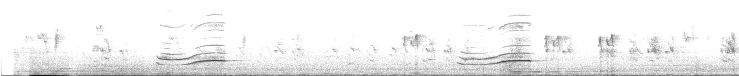 drongo šedobřichý - ML645884254