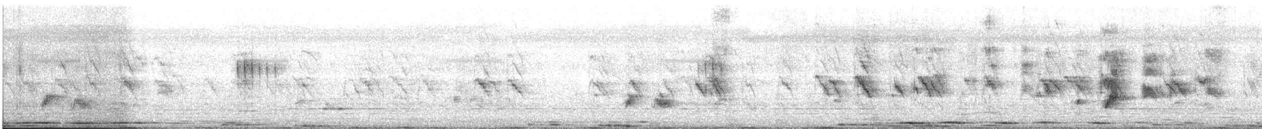 Ficedula sp. - ML645884351