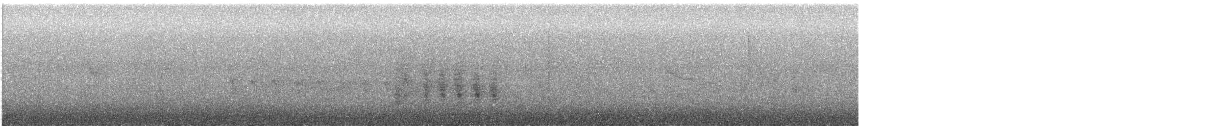 White-eyed Vireo - ML645884887