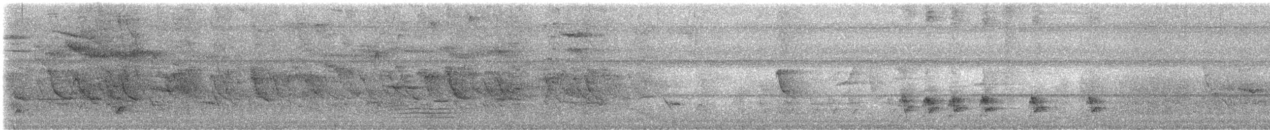 Malay Sığırcığı - ML645885004