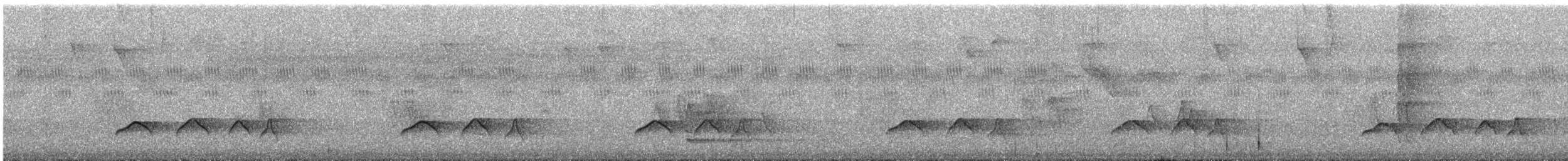 Rufous-tailed Attila - ML645885286