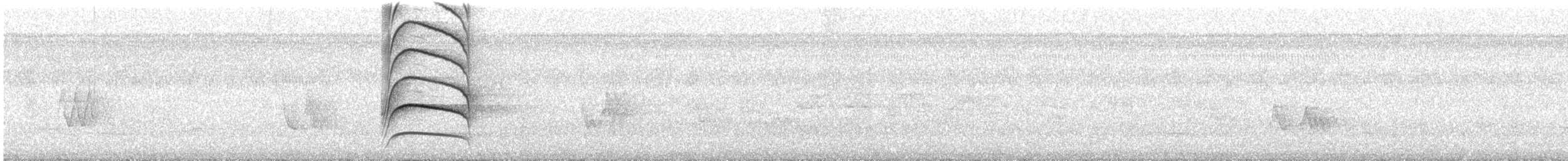 Great Kiskadee - ML645885583