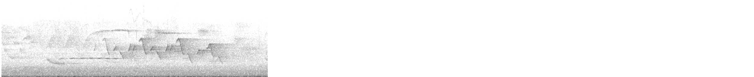 Common Yellowthroat - ML645885706