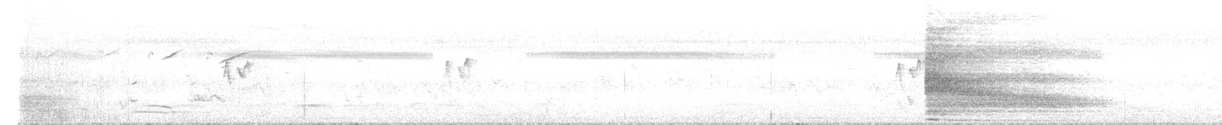 Greater Coucal - ML645885728