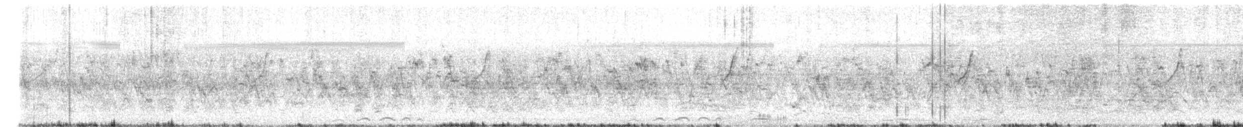 vrabec domácí - ML645885835