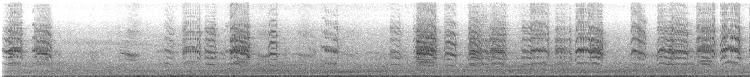 aratinga černohlavý - ML645885977