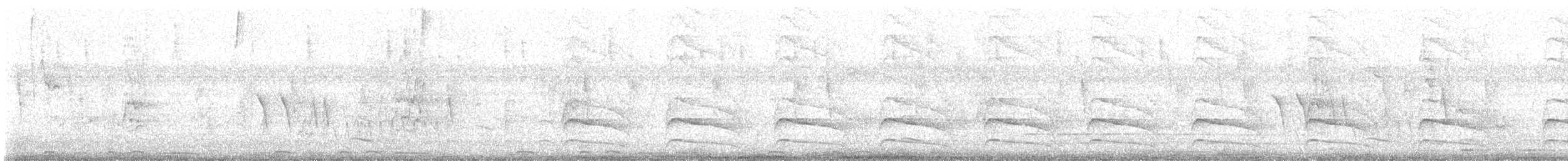 datel středoamerický - ML645886075