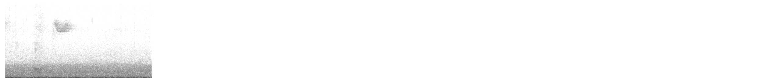 kormorán ušatý - ML645886327