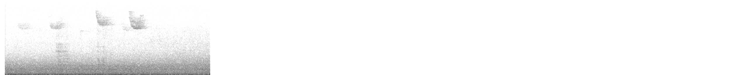 kormorán ušatý - ML645886328