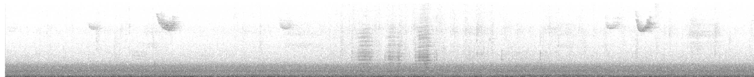 kormorán ušatý - ML645886330