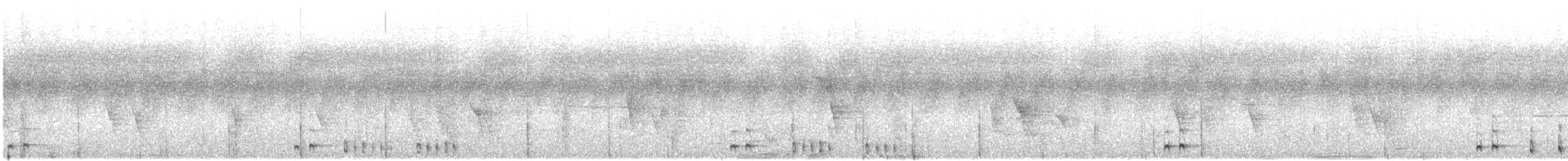 bažant tmavý - ML645886383