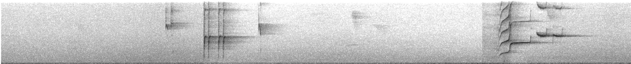 vlhovec velkoocasý - ML645886420