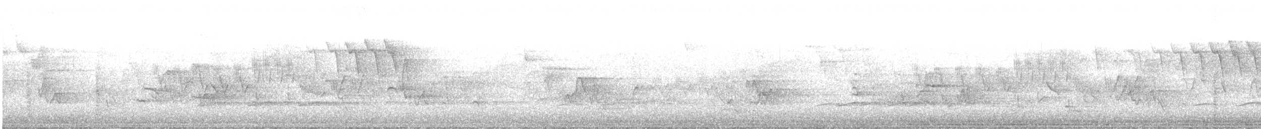 lesňáček modropláštíkový - ML645886430