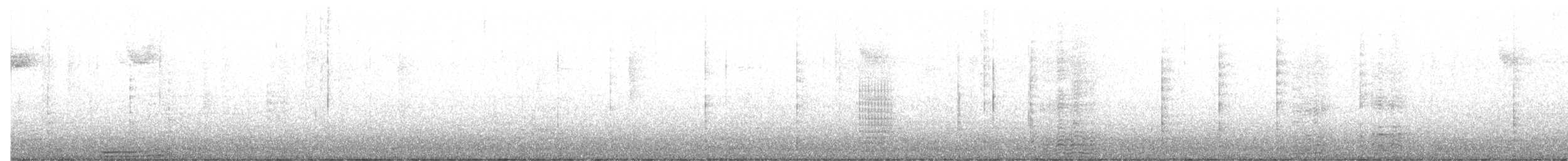 kormorán ušatý - ML645886434