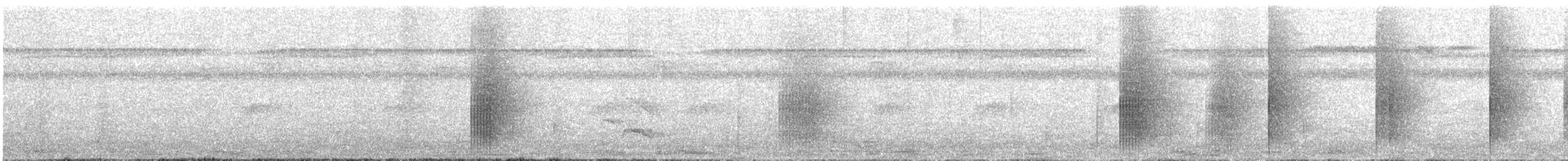 Golden-collared Manakin - ML645886500