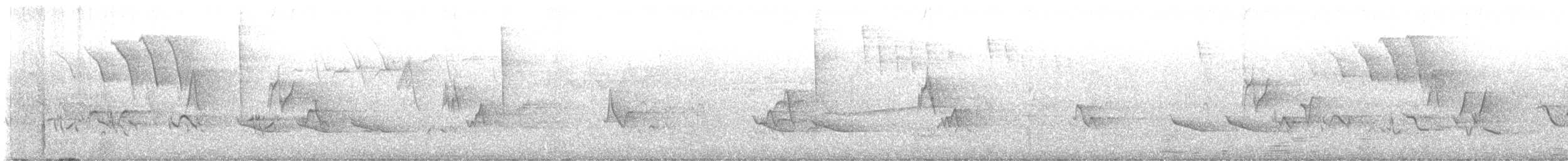 lesňáček lejsčí - ML645886527