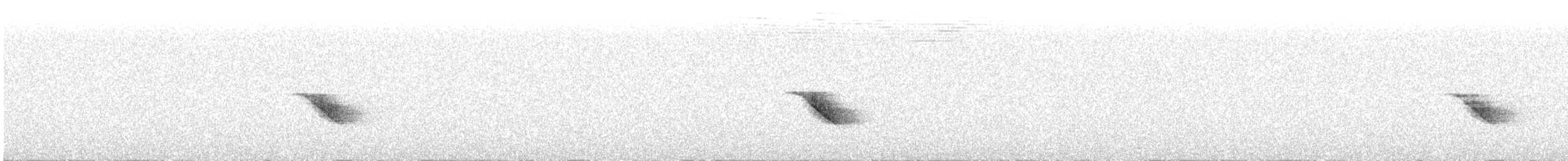 Purple-throated Cuckooshrike - ML645886599