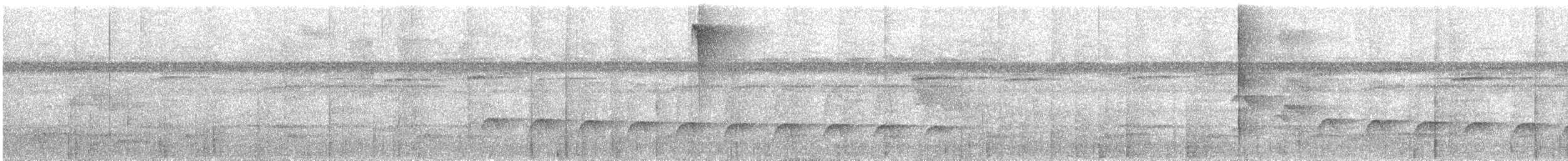 White-flanked Antwren - ML645886688