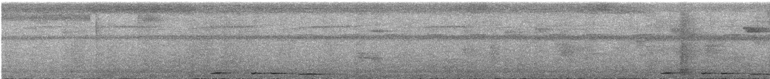 Short-billed Pigeon - ML645886848