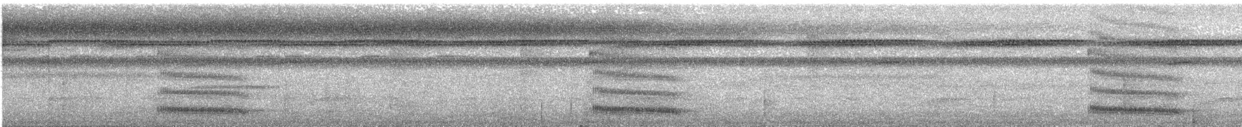 Southern Bentbill - ML645886850