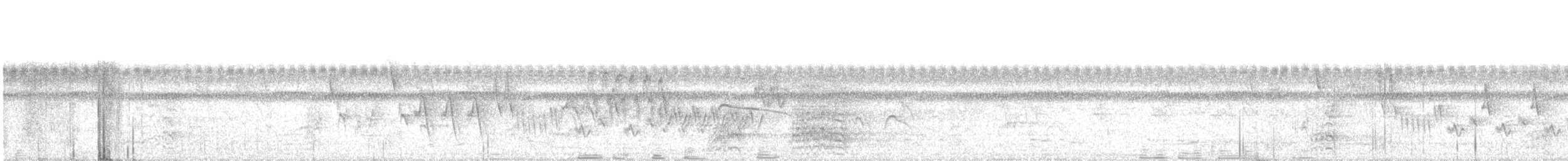 Ara canindé - ML645886918