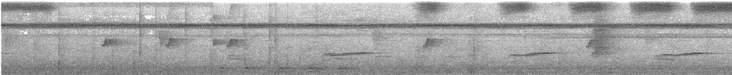 Trogon de Masséna - ML645886935