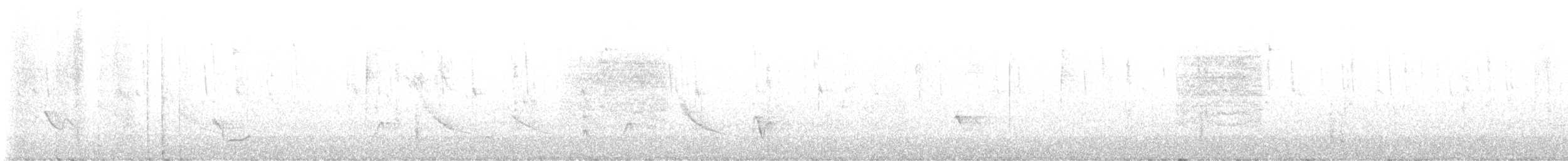 White-lored Gnatcatcher - ML645887078