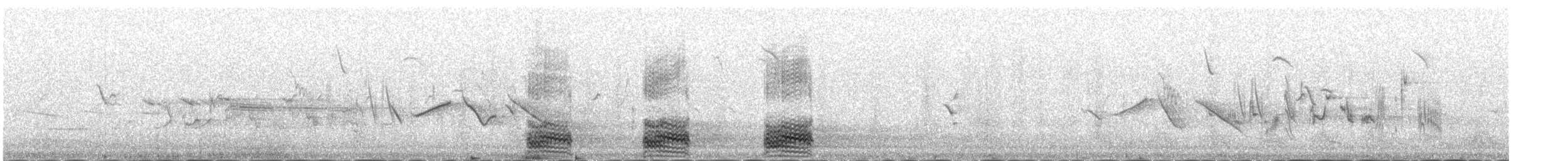 Corneja Negra (Oriental) - ML645887265