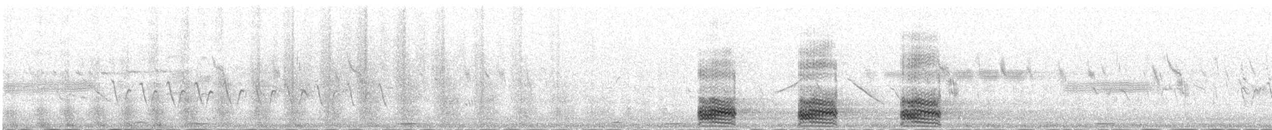 Corneja Negra (Oriental) - ML645887266