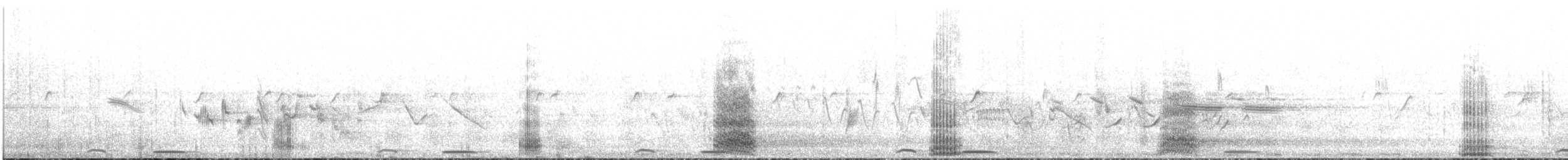 Cuervo Grande - ML645887277