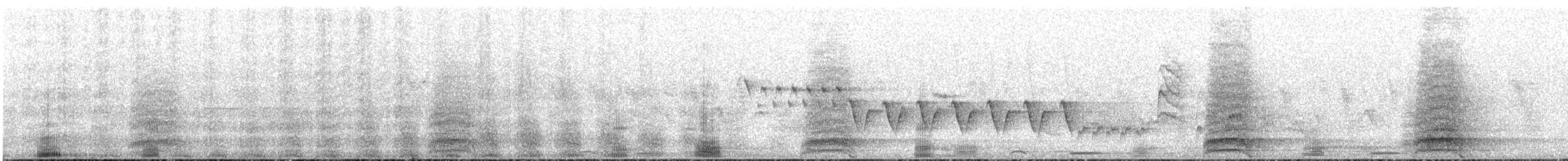 Cuervo Grande - ML645887278