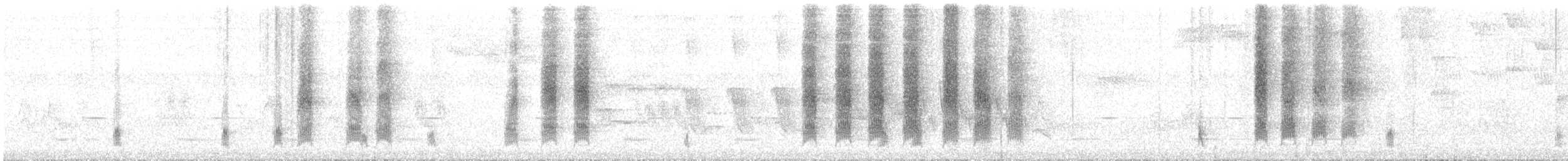 Zorzal Sabiá - ML645887321