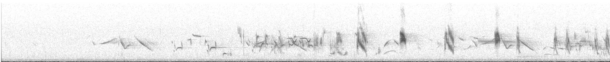 Pied Wheatear - ML645887371