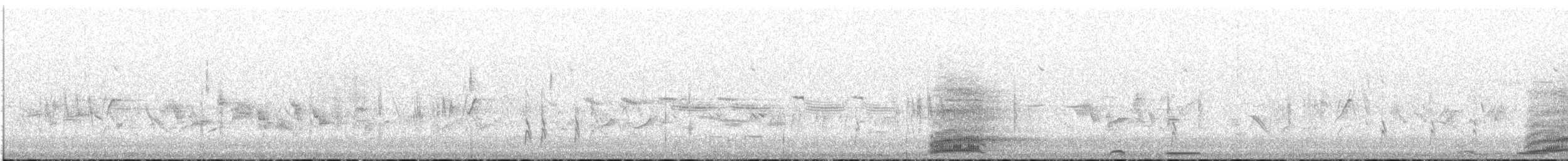 Common Raven - ML645888006