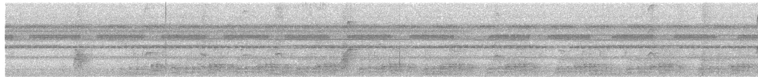 Speckled Chachalaca - ML645888485