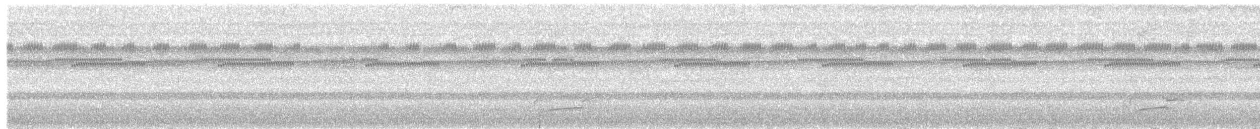 Smooth-billed Ani - ML645888769