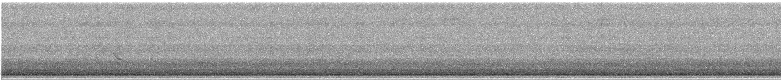 Snow Bunting - ML645888770