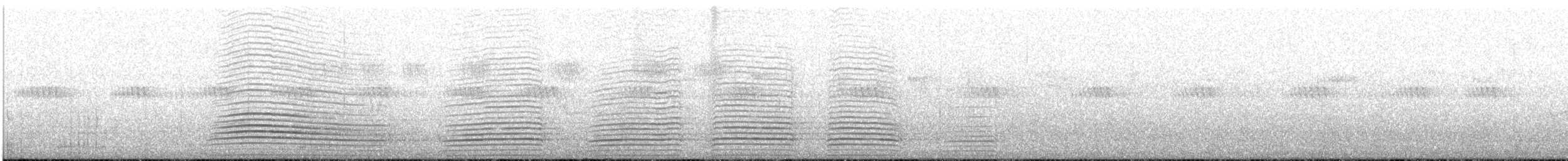 Borazancı Boynuzgaga - ML645889300