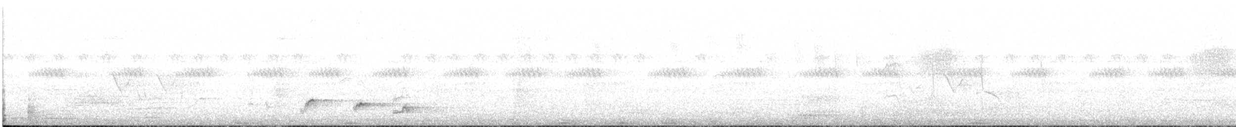 Borazancı Boynuzgaga - ML645889301