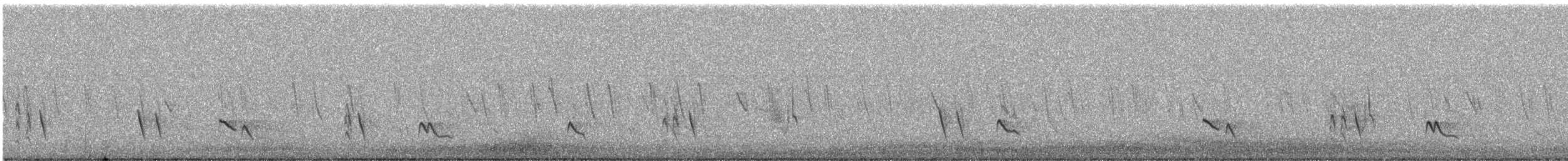 Batılı Mavi Ardıç - ML645889309