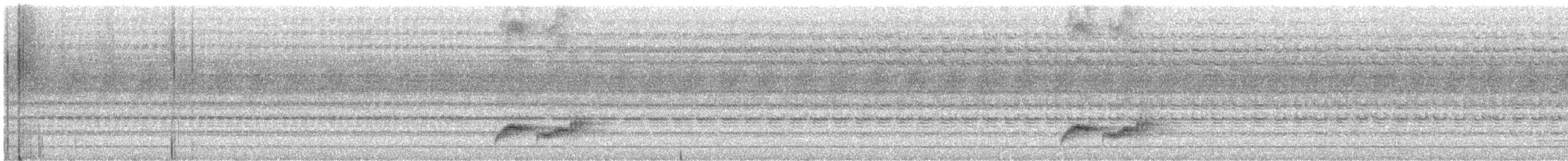 Ardıç Benekli Kıvrıkgaga - ML645889532