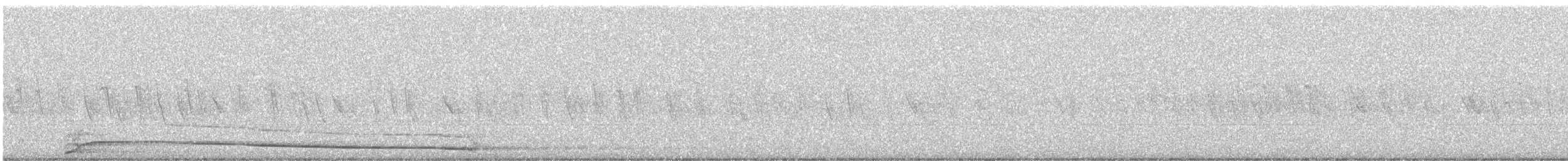 Coyote - ML645889671