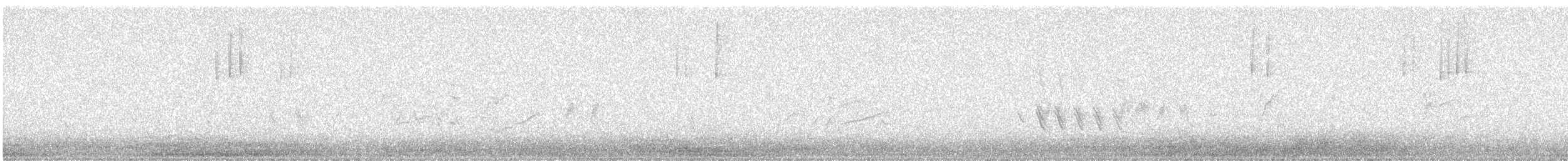 tanımsız Passeriformes sp. - ML645889784